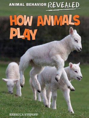 cover image of How Animals Play